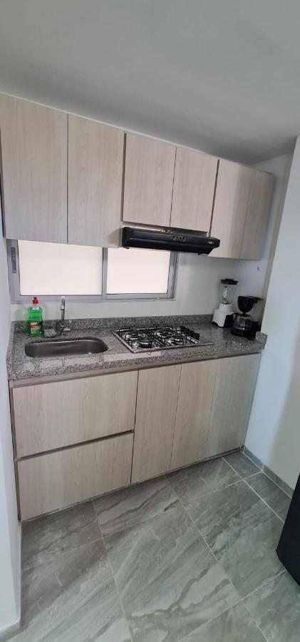 Apartamento Entero Ibague - Parqueadero - Nogal Kültér fotó